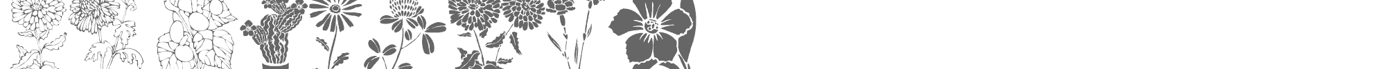 Sample characters DT Flowers Font